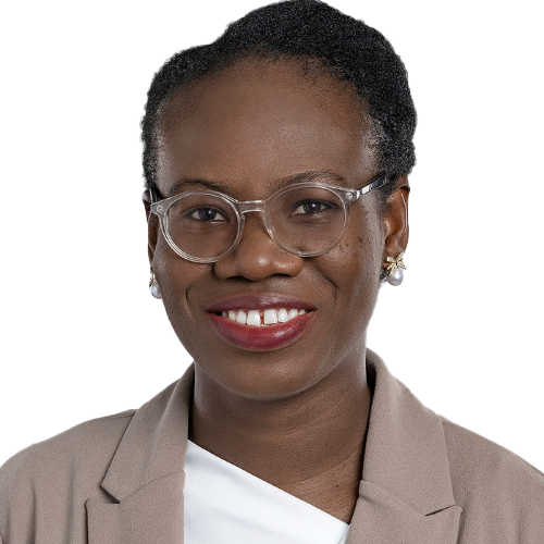 Prof. Adedoyin Inaolaji